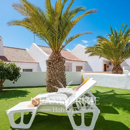 Seaviews Garden With Palms In Club Sc171 *