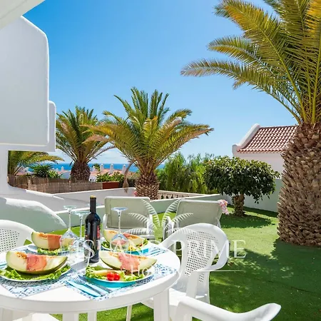 Seaviews Garden With Palms In Club Sc171 *